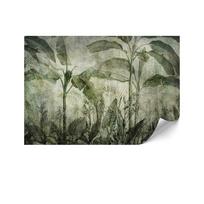 Fototapeta Flizelinowa Standard - 200 X 140 Cm - Styl Urban Jungle - Natura