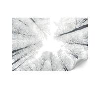 Fototapeta Flizelinowa Premium - 200 X 140 Cm - Styl Skandynawski - Natura