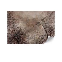 Fototapeta Flizelinowa Premium - 250 X 175 Cm - Styl Modernistyczny - Natura
