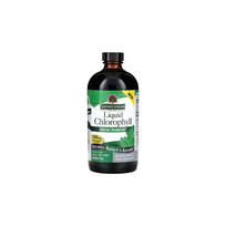 Nature's Answer Liquid Chlorophyll 480 ml