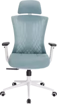 Ergonominė kėdė „AVERY“ su patina
