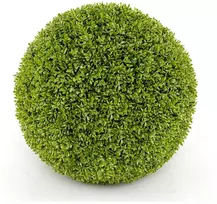 Buksmedžio rutulys 39 cm 2 vnt.