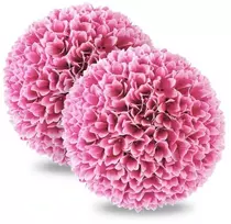 Buksmedžio rutuliai 28 cm 2 vnt.
