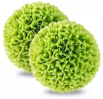 Buksmedžio rutuliai 28 cm 2 vnt.