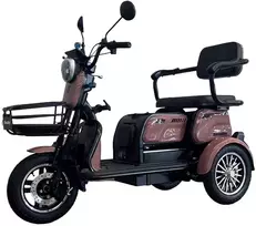 Beaster Scooter Elektrinis triratis motoroleris, BSKENDO3A, rudas, surinktas, 500 W