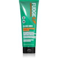 Fudge Clean Mint Shampoo šampūnas riebiems plaukams 250 ml