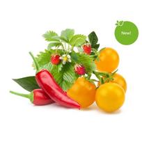 Click And Grow Click  AND  Grow Plant Pods 9-Pack - Fruit and Veggie Mix