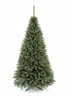 Sidabrinė eglė, 220 cm