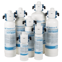BWT bestmax V filtras
