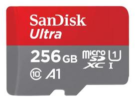 SANDISK BY WESTERN DIGITAL 256GB SanDisk microSDXC UHS-I/U3 Memory Card (SDSQAC-256G-GN6MA)