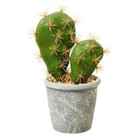 Nice-looking Polystyrene Styrofoam Durable Exquisite Artificial Succulent Plant Fake Potted Cactus Artificial Cactus 1