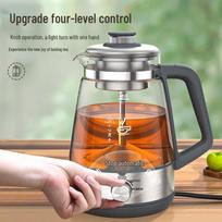 Ronshen Automatic Glass Electric Tea Kettle CN plug (adapter included)