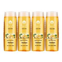 FENGHUA Ginger Anti-Dandruff Shampoo Set