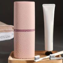 Portable Toothbrush & Toothpaste Holder Set - Odorless, Personal Care Essentials For Travel & Home Use, Pink One Size Fits All