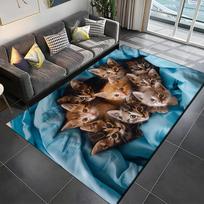 Kitten Print Polyester Rug, Non Slip Vibrant Design, Cute Bedroom Decor, Crystal Soft Living Room Mat, Cozy Floor Accent 50x80cm