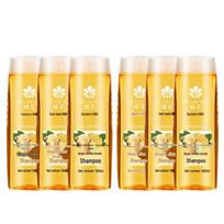 Fenghua Ginger Anti-Dandruff & Oil Control Shampoo (6 x 500ml)