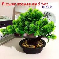 Pinus Hwangshanensis Artificial Bonsai With Plastic Material For Home Decor And Gift Use žalia