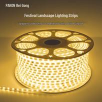 Beigong 220V 100m LED Strip Light, 3000K Warm White