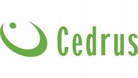 Cedrus 10W30 Engine Oil For Lawnmowers And Tractors