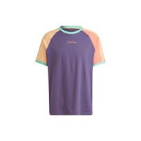 Adidas Originals Džiaugsmingi raglano tipo marškinėliai Dryžuoti Colorblock Sportiniai trumpomis rankovėmis Vyriški viršutiniai drabužiai Techninis violetinis IT8189 XL gray