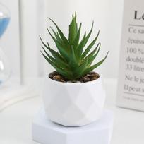 Mini Artificial Succulent Bonsai Plants Simulation Succulents Mini Evergreen Bonsai Cactus Succulent Plastic Fake Plants Decor