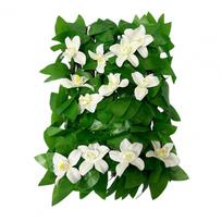 Expandable Artificial Fence Expandable Artificial Flower Privacy Fence Panels Uv Resistant Fake Ivy Wall Screen Indoor Outdoor