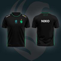 Esporto klubo Team Falcons 2025 marškinėliai CS2 Valorant žaidėjų treniruočių uniformos gerbėjų dovanos marškinėliai unisex kvėpuojantys džemperiai S