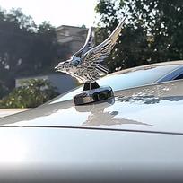 Automobilio erelio emblema Ornamentas Apdaila Variklio dangtis 3D erelio emblema Modifikavimo ženklelis Logotipai Išorės dekoravimo aksesuarai