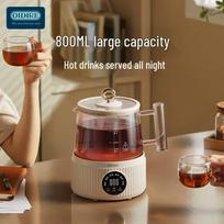 OIDIRE Multi-functional Health Tea Kettle CN plug (adapter included)