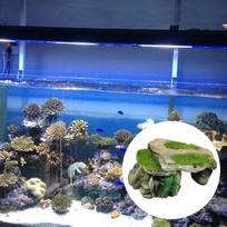 Simulate Moss Rockery Stone Reptile Hiding Cave Snake Turtle Hide Rest Fish Tank Landscaping Aquarium Decor