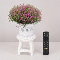 Bonsai Rack Potted Small Rustic Round Plant Pot Riser Holder Stool for Office Garden