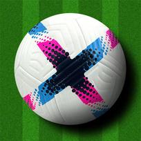 Champion League Size 5 Wear-Resistant PU Football: Premier League Adult Training Ball for Outdoor Use No. 5 ball (for regular 11-a-side game)