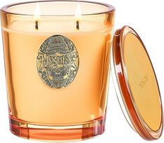 M&SENSE Duftkerze Groß Basilikum Ingwer|560g Duftkerzen im Glas Natürliche Soja-Kerze|2-Docht,110 Stunden Brenndauer|Geschenke für Frauen