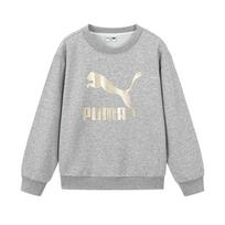 PUMA Sweatshirt Sportstyle Gray Kids' 353924121201-00101 110