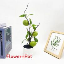 Fake Lemon Bonsai With Plastic And Foam For Interior Photography And Event Decor mėlyna