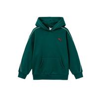 PUMA Sweatshirt Dark Green Kids' 353425121102-40701 110