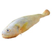 Simulation Big Yellow Croaker Plush Toys Stuffed Soft Animal Fresh Fish Pillow Creative Sleep Cushion Child Xmas Gift 60cm geltona