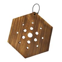 Fern Mounting Board Wall Planter Hanging Planter Rustic Look Versatile Wood Frame