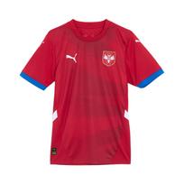 PUMA Serbijos 2024 m. vyriški namų futbolo marškinėliai 774300-01 S red