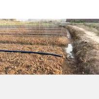 Moufou Thickened Multi-Hole Micro-Spray Irrigation Belt