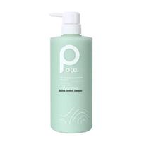 Boti Tea Tree Anti-Dandruff & Oil Control Shampoo