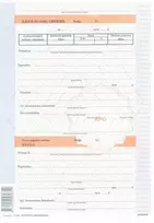 Kasos pajamų orderis, A4, 100 lapų, numeruotas