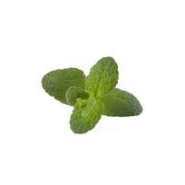 Click And Grow Click  AND  Grow Plant Pods 3-Pack - Apple Mint