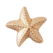 Crocs Jibbitz Gold Star Fish G1033700-MU (CR446-a) aksesuaras