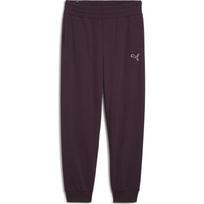 Puma Sportinės Kelnės Moterims Ess Elevated Sweatpants Fl 676805 44