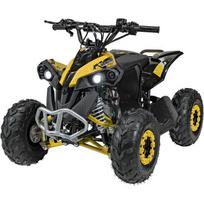 RENEGADE HighPer 110CC degimo keturratis geltonos spalvos