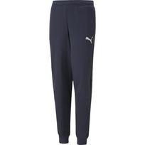 Puma Sportinės Kelnės Paaugliams Active Sports Sweatpants Tr Navy 670076 43