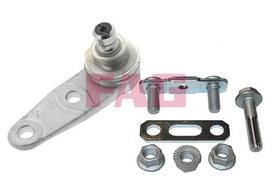 Šarnyras / girgždukas Schaeffler FAG 825 0135 10