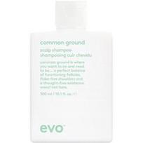 EVO - COMMON GROUND SCALP SHAMPOO Šampūnai 300 ml unisex