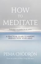 How to Meditate: A Practical Guide to Making Friends with Your Mind